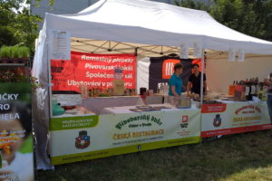 pohodafestchyne.cz